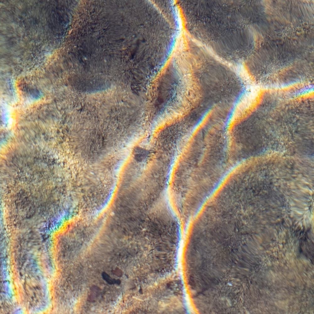 Extraits Sur Mesure, Solvants Optimaux