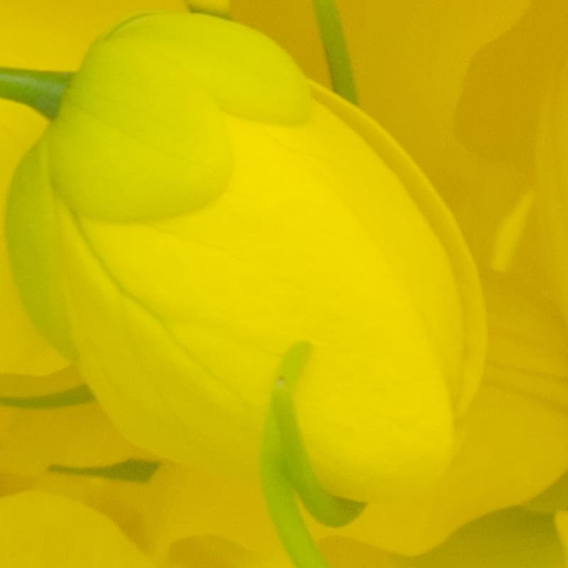 Divers bio-cosmétiques